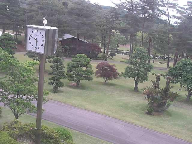 camera.jpg